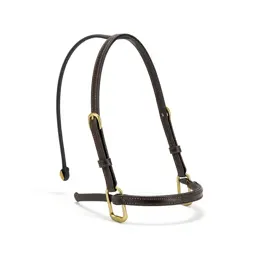 Bridle with brass fittings