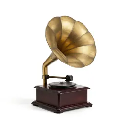 Phonograph with a horn