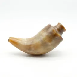 Powder horn
