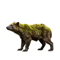 Forest spirit of moss and bark