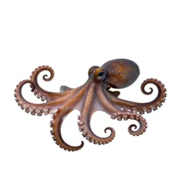 Octopus with curled arms