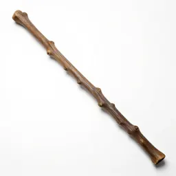 Gnarled wand