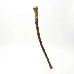 Wizard's staff
