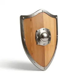 Wooden shield with an iron boss