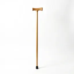 Walking cane