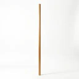Fruit picker pole