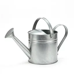Galvanised watering can