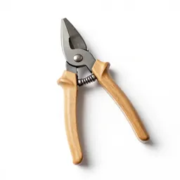 Pair of secateurs