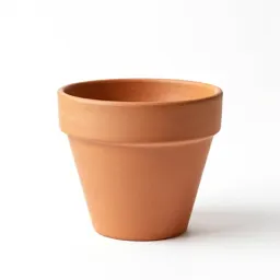 Terracotta plant pot