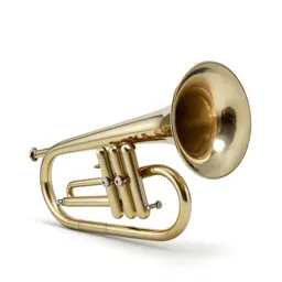Tuba