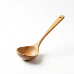 Soup ladle