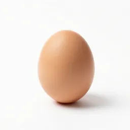 Egg timer