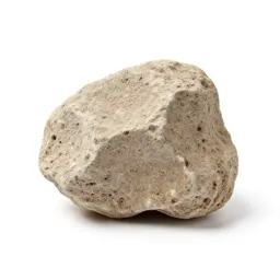 Chunk of pumice