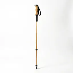 Trekking pole