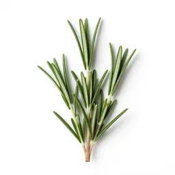 Rosemary sprig