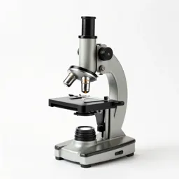 Compound microscope