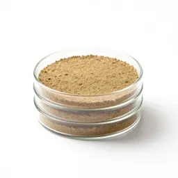 Petri dish stack