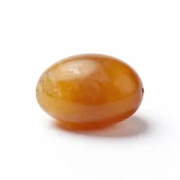 Amber specimen