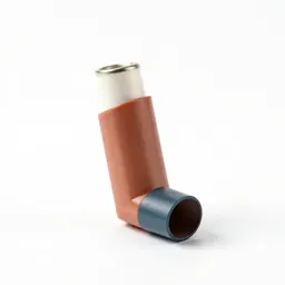 Inhaler