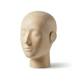 Humanoid robot head