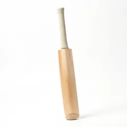 Cricket bat
