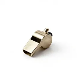 Whistle on a lanyard