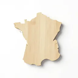 French curve template