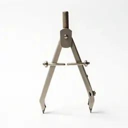Pair of compasses