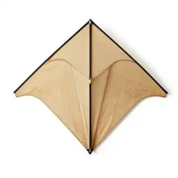 Kite
