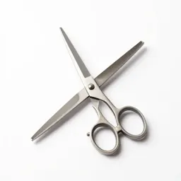 Pair of grooming scissors