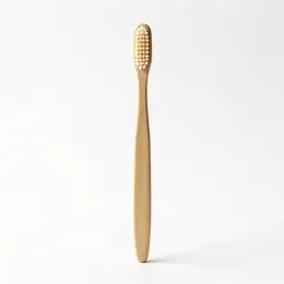 Toothbrush in a holder