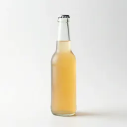 Bottle of kombucha