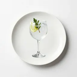 Gin and tonic with botanicals