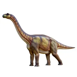 Diplodocus