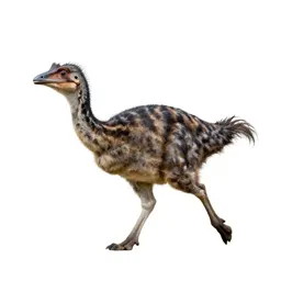 Gallimimus running