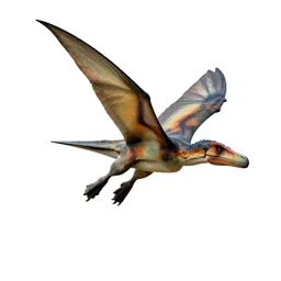 Pteranodon gliding