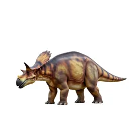 Stegosaurus