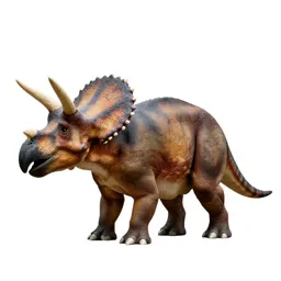 Triceratops