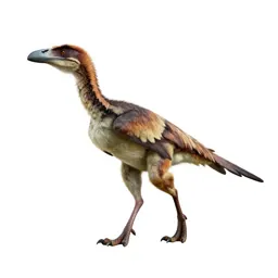 Archaeopteryx