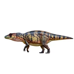 Ichthyosaur
