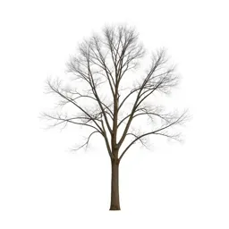 Hall tree with hooks