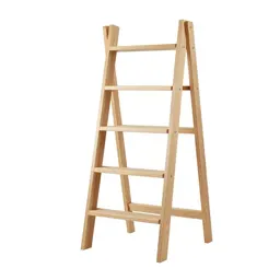 Ladder shelf