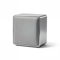 Bauhaus wireless speaker