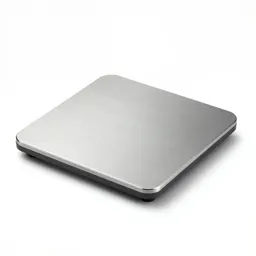 Brutalist digital scale