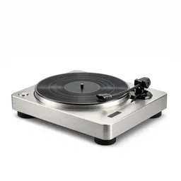 Playful record player
