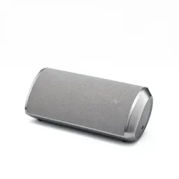 Organic curved wireless speaker