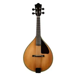 Mandolin