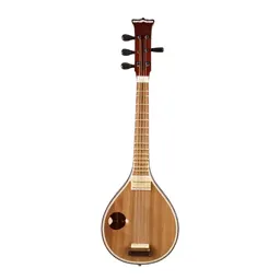 Sitar