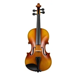 Violin with a bow