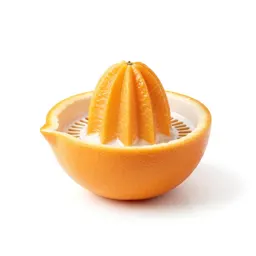 Citrus juicer